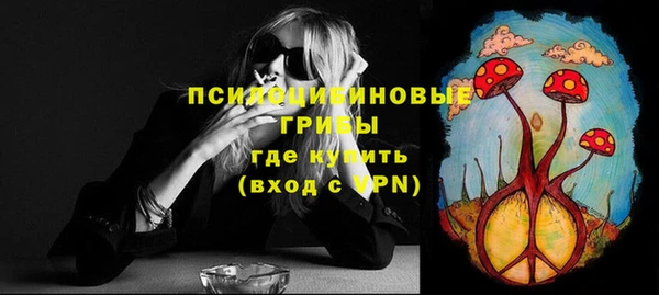 первитин Алексин